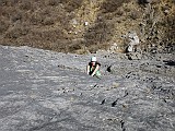 IMG_0259