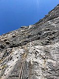 IMG_4277