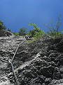 IMG_2561