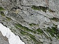 IMG_2241