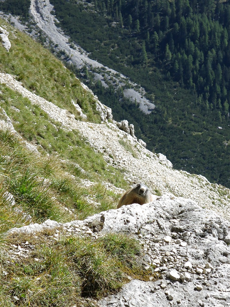 IMG_6104.JPG