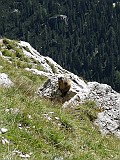 IMG_6096