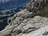 IMG_6098