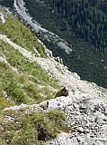 IMG_6104