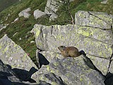 IMG_0751