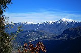 IMG_0659