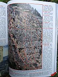 IMG_5620