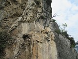 IMG_0119