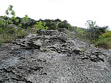 IMG_0153