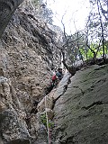 IMG_0301