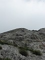 IMG_3115