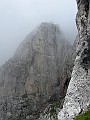 IMG_3119