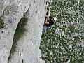 IMG_3126