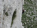 IMG_3127