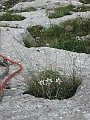IMG_3130