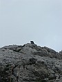 IMG_3148