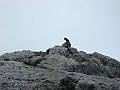 IMG_3150