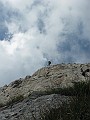 IMG_3151