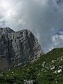 IMG_2267