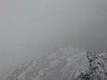 IMG_2286