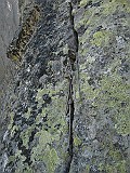 IMG_0437