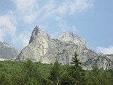 IMG_0541