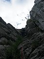 IMG_1084