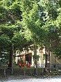 IMG_1131