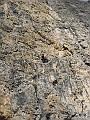 IMG_3261