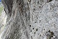 _MG_1484