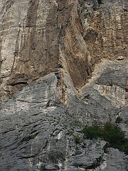 IMG2348