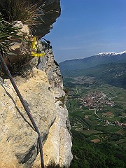 IMG2374