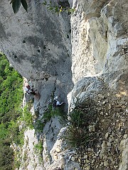 IMG2375