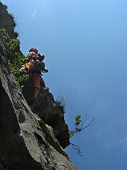 IMG2377