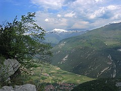 IMG2397