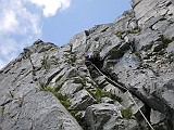 IMG_0390