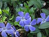 IMG_0085