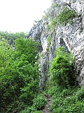 IMG_0168