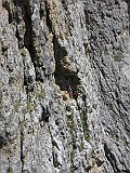 IMG_7370