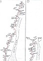 SentieriSelvaggi_Schizzo