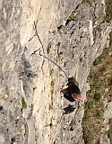 IMG_3761