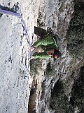 IMG_3780