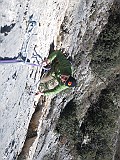 IMG_3781