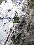 IMG_3782