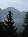 IMG_3239