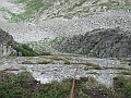 IMG_3251