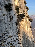IMG_9590