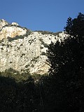 IMG_9741