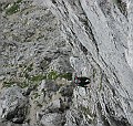 IMG_2997