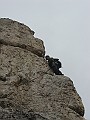 IMG_3004